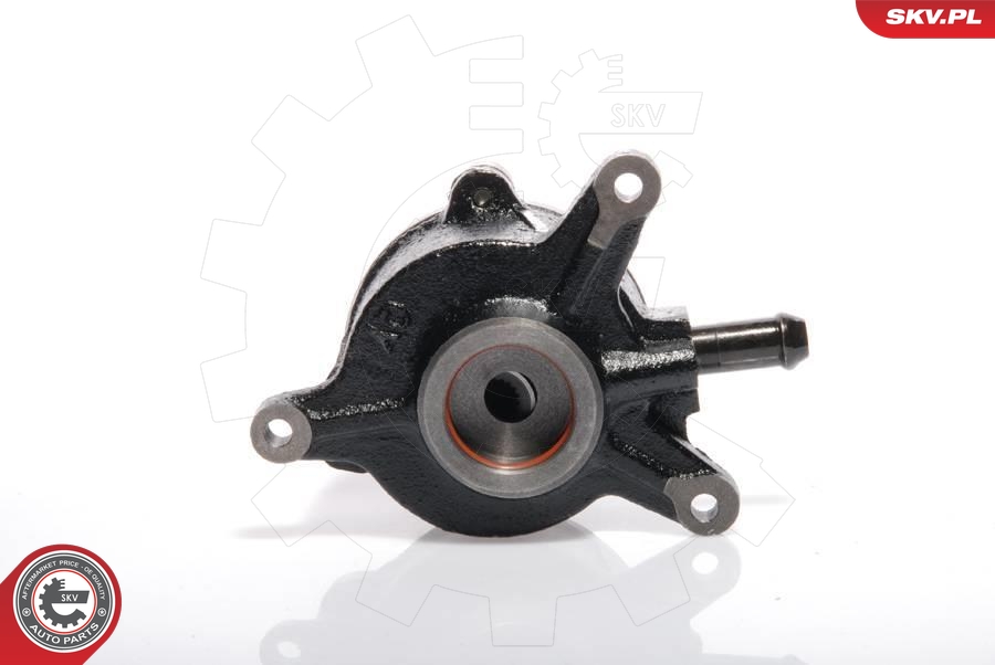 ESEN SKV 18SKV010 Vakuumpumpe, bremsesystem