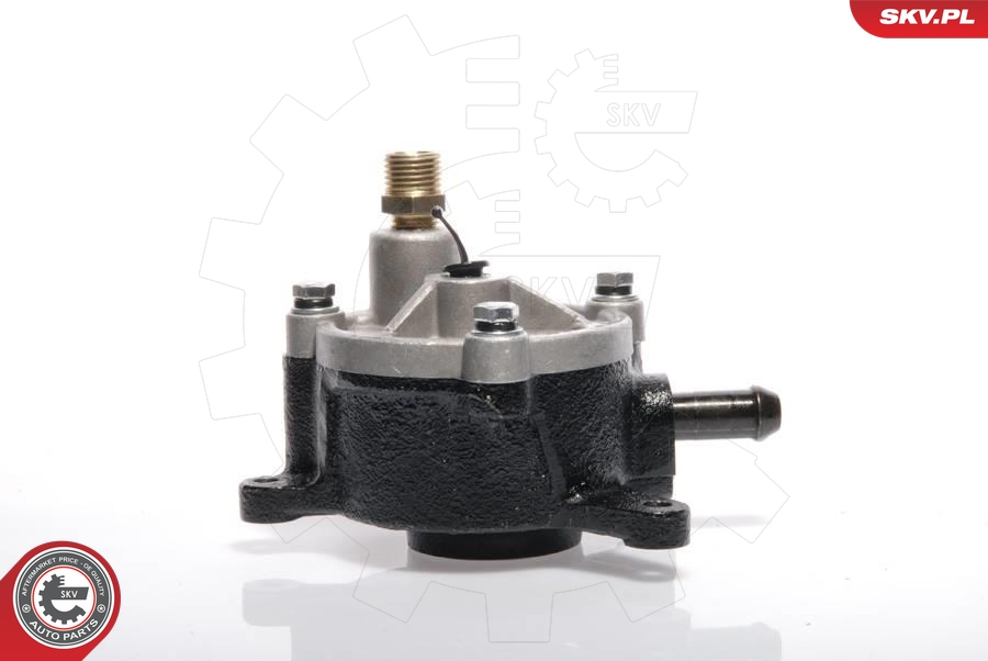ESEN SKV 18SKV010 Vakuumpumpe, bremsesystem