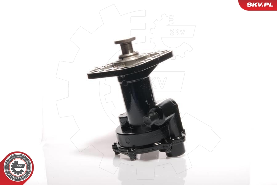 ESEN SKV 18SKV011 Vakuumpumpe, bremsesystem