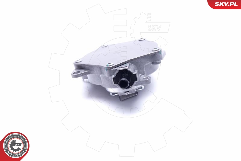 ESEN SKV 18SKV031 Vakuumpumpe, bremsesystem