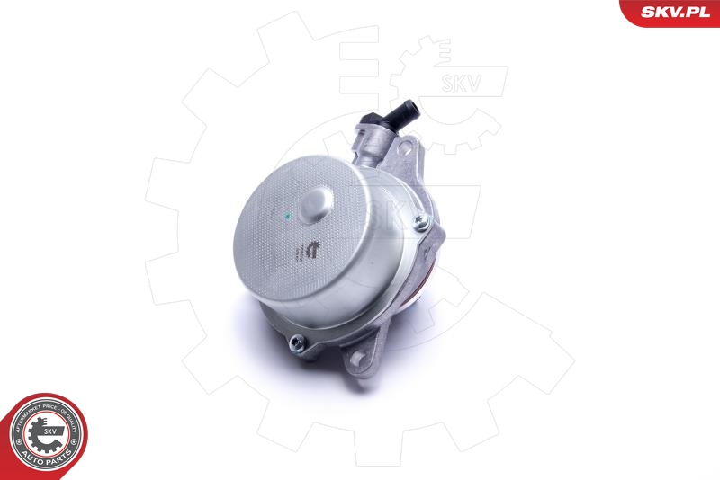 ESEN SKV 18SKV046 Vakuumpumpe, bremsesystem