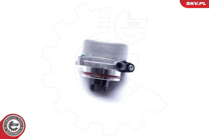 ESEN SKV 18SKV046 Vakuumpumpe, bremsesystem