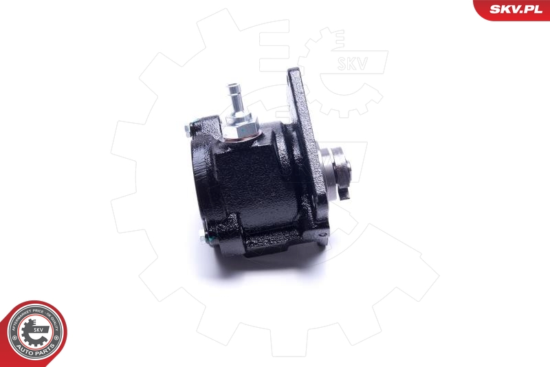 ESEN SKV 18SKV050 Vakuumpumpe, bremsesystem