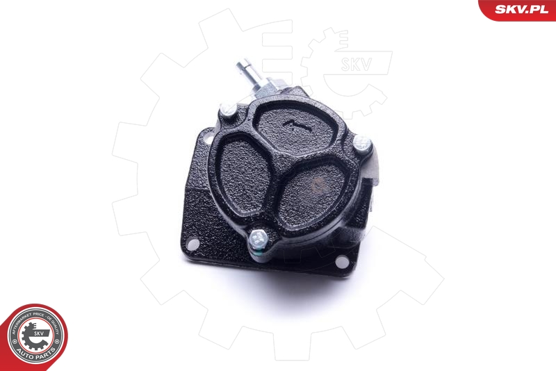 ESEN SKV 18SKV050 Vakuumpumpe, bremsesystem