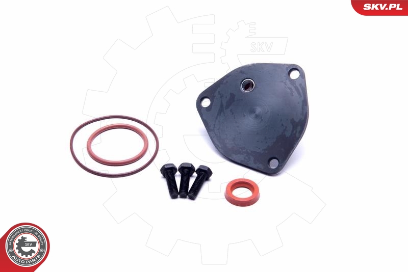 ESEN SKV 18SKV800 Reparatorsett, undertrykkspumpe (bremsesystem)