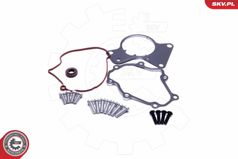 ESEN SKV 18SKV802 Reparatorsett, undertrykkspumpe (bremsesystem)