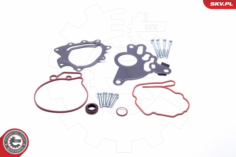 ESEN SKV 18SKV804 Reparatorsett, undertrykkspumpe (bremsesystem)