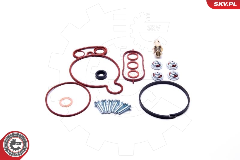 ESEN SKV 18SKV805 Reparatorsett, undertrykkspumpe (bremsesystem)
