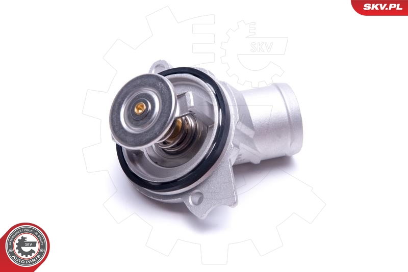 ESEN SKV 20SKV156 Termostat, kjølemiddel