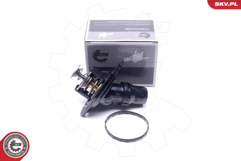 ESEN SKV 20SKV195 Termostat chladenia
