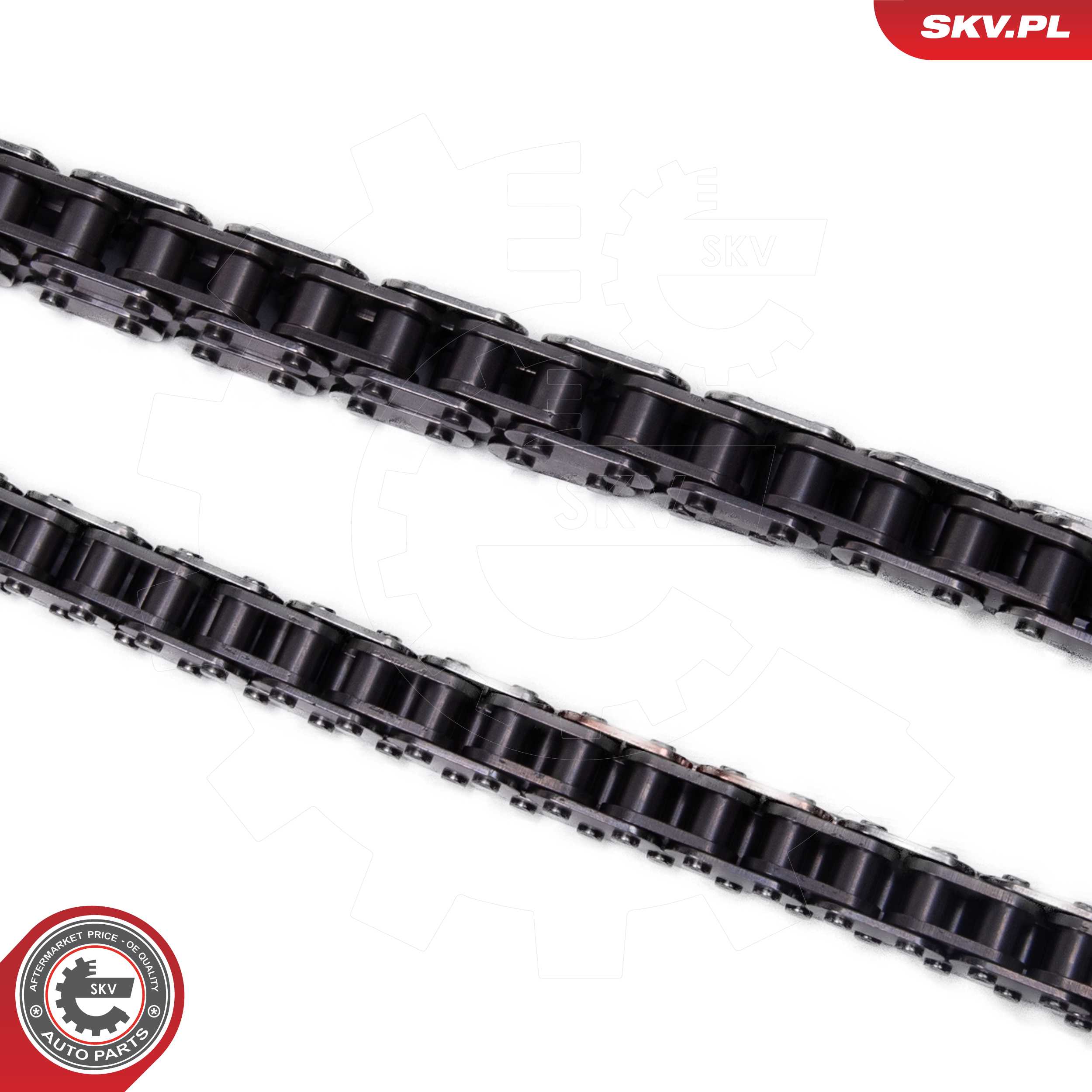 ESEN SKV 21SKV250 Timing Chain Kit