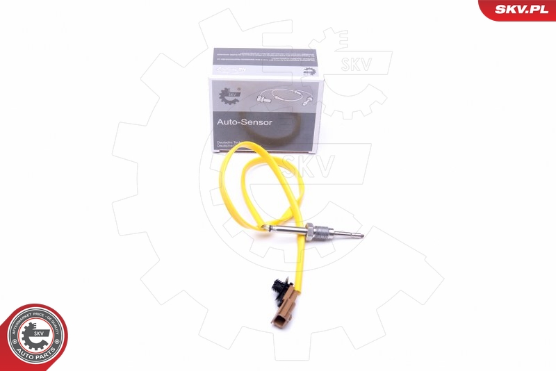 DELPHI TS30086 Sensor, eksostemperatur
