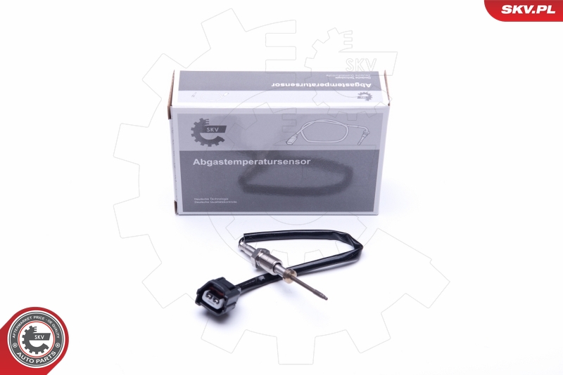 DELPHI TS30354-12B1 Sensor, eksostemperatur