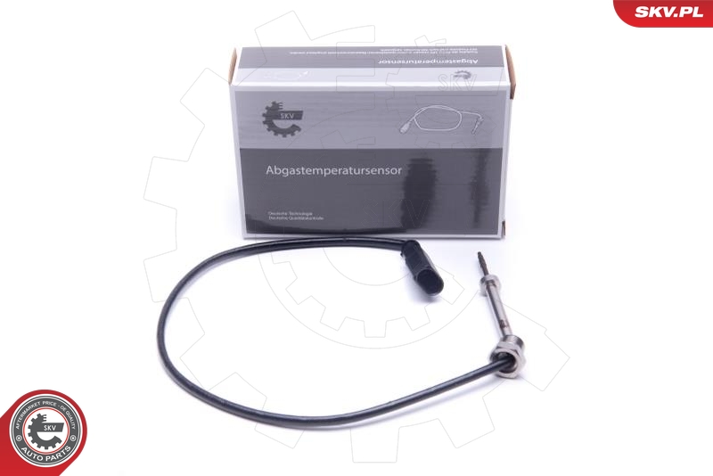 TRUCKTEC AUTOMOTIVE 02.17.101 Sensor, eksostemperatur