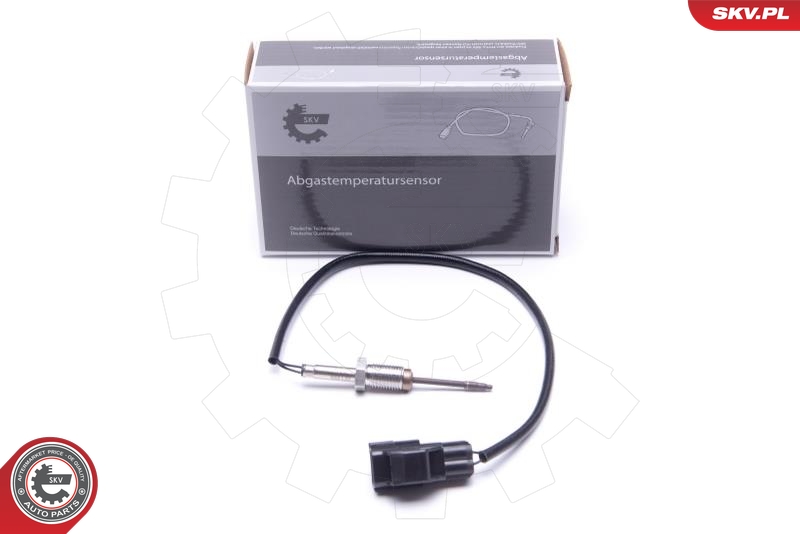 FAE 68096 Sensor, eksostemperatur