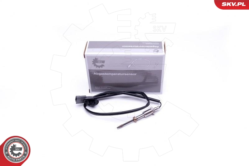 FAE 68080 Sensor, eksostemperatur