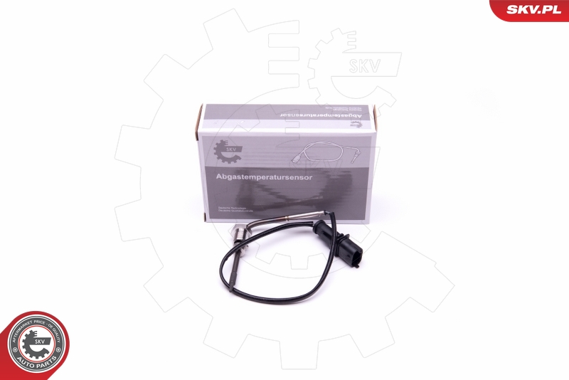 DELPHI TS30167 Sensor, eksostemperatur