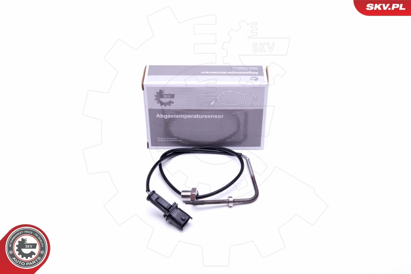 FAE 68088 Sensor, eksostemperatur