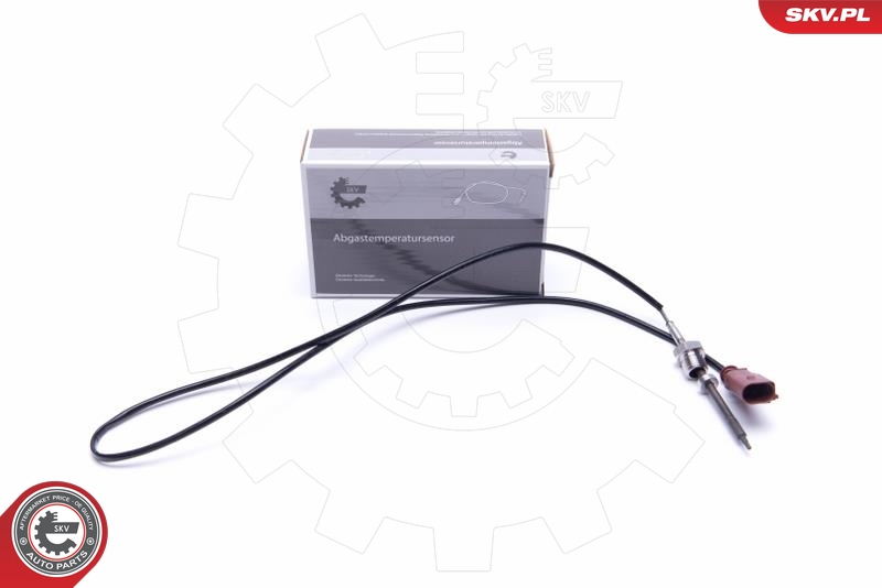 DELPHI TS30013 Sensor, eksostemperatur
