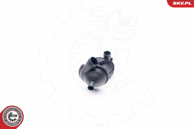 ESEN SKV 31SKV040 Repair Kit, crankcase ventilation