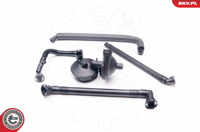 ESEN SKV 31SKV040 Repair Kit, crankcase ventilation