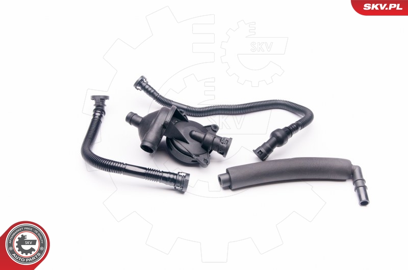 ESEN SKV 31SKV042 Repair Kit, crankcase ventilation