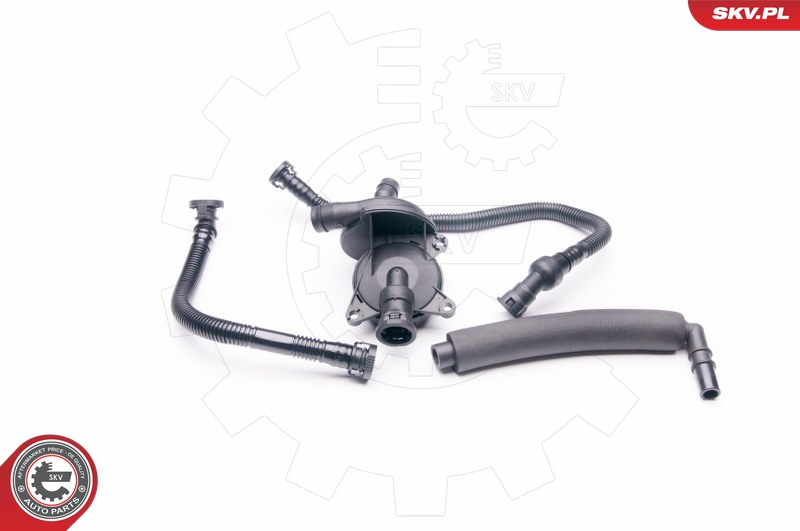ESEN SKV 31SKV042 Repair Kit, crankcase ventilation