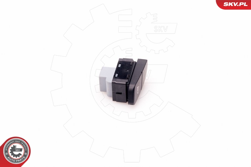 ESEN SKV 37SKV308 Bryter, vindusheis