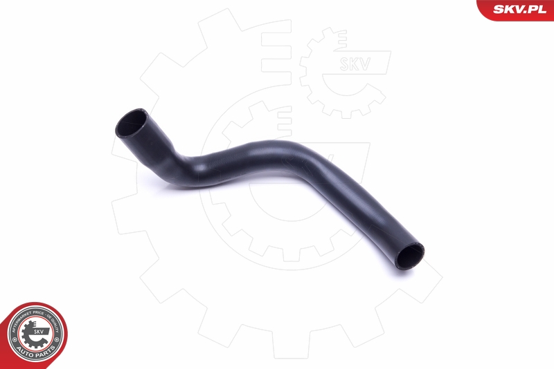 DAYCO 5PK1263 