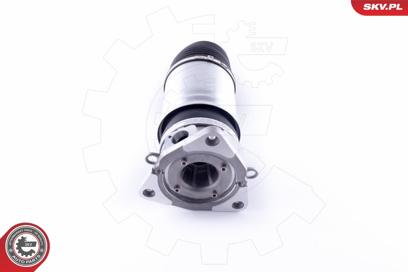 ESEN SKV 58SKV046 Luftfjær, chassis