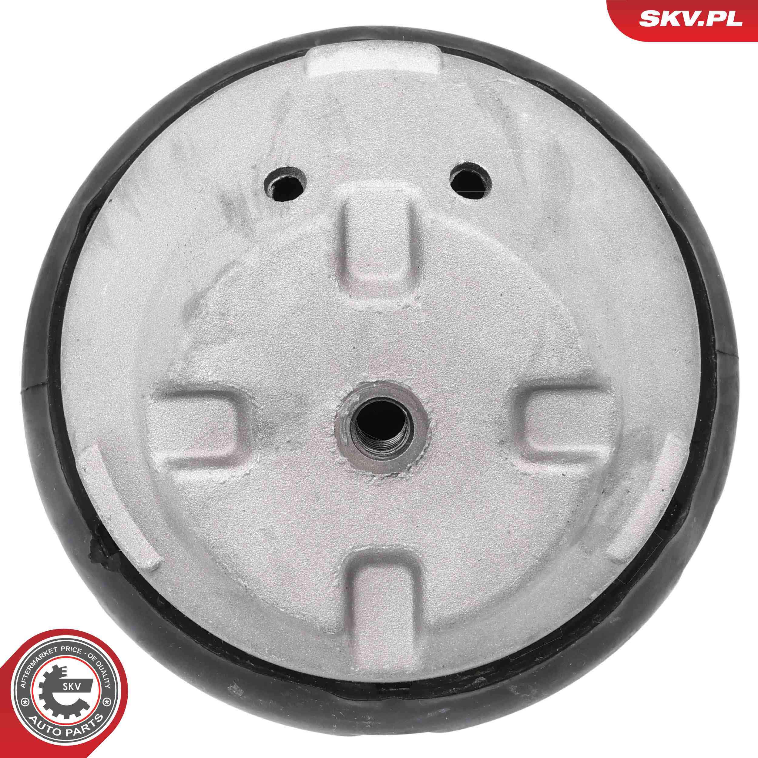 ESEN SKV 75SKV002 Mounting, engine