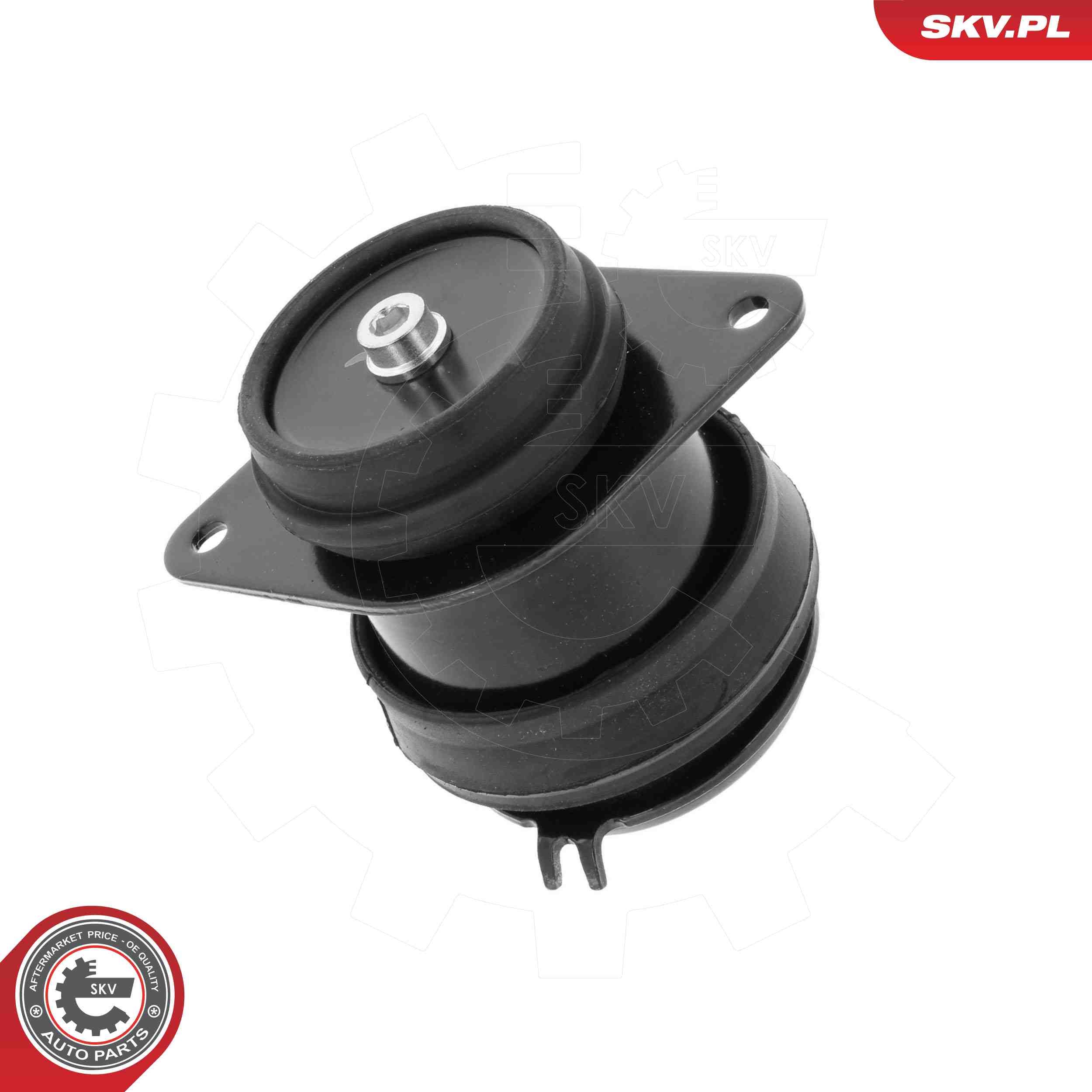 ESEN SKV 75SKV010 Mounting, engine