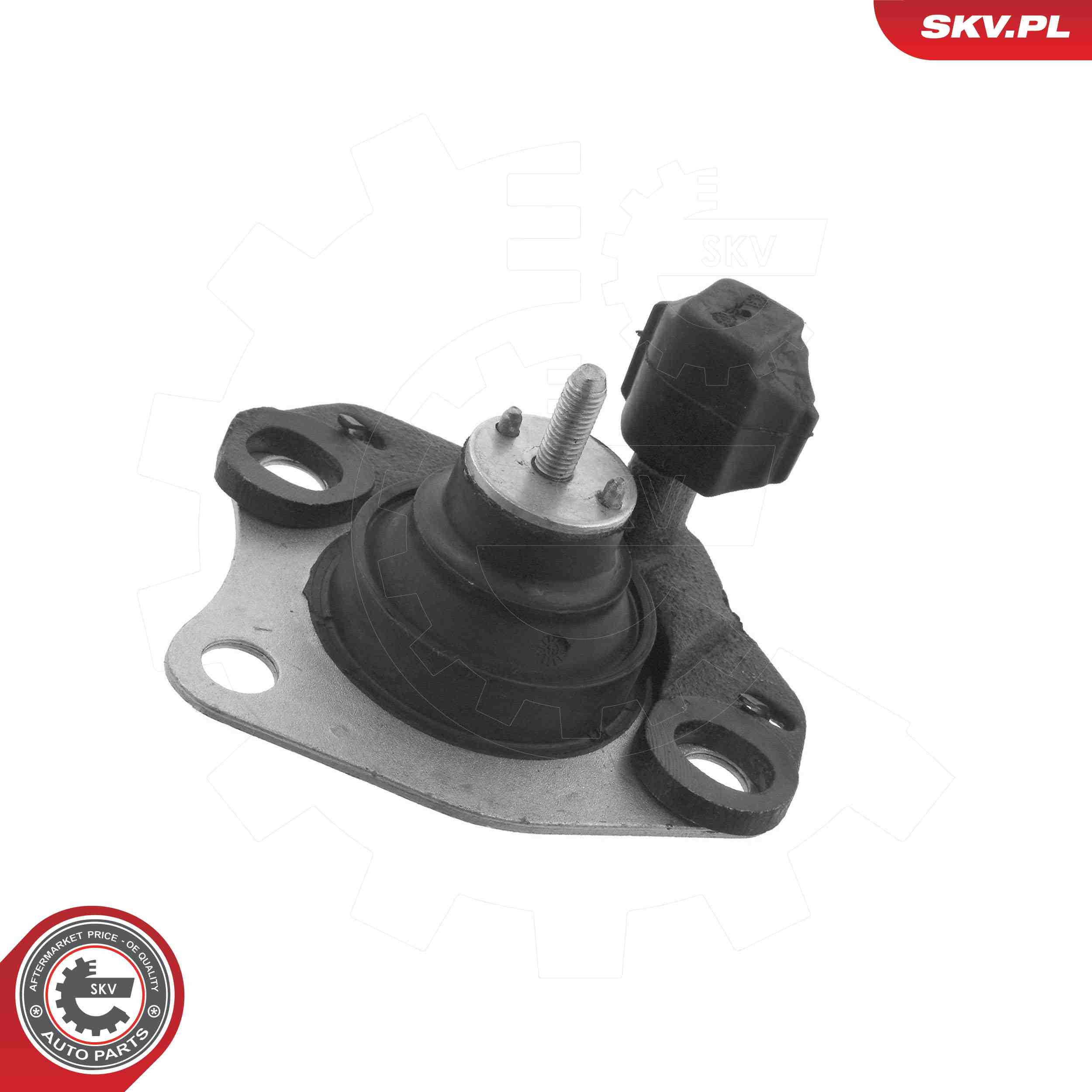 ESEN SKV 75SKV019 Mounting, engine