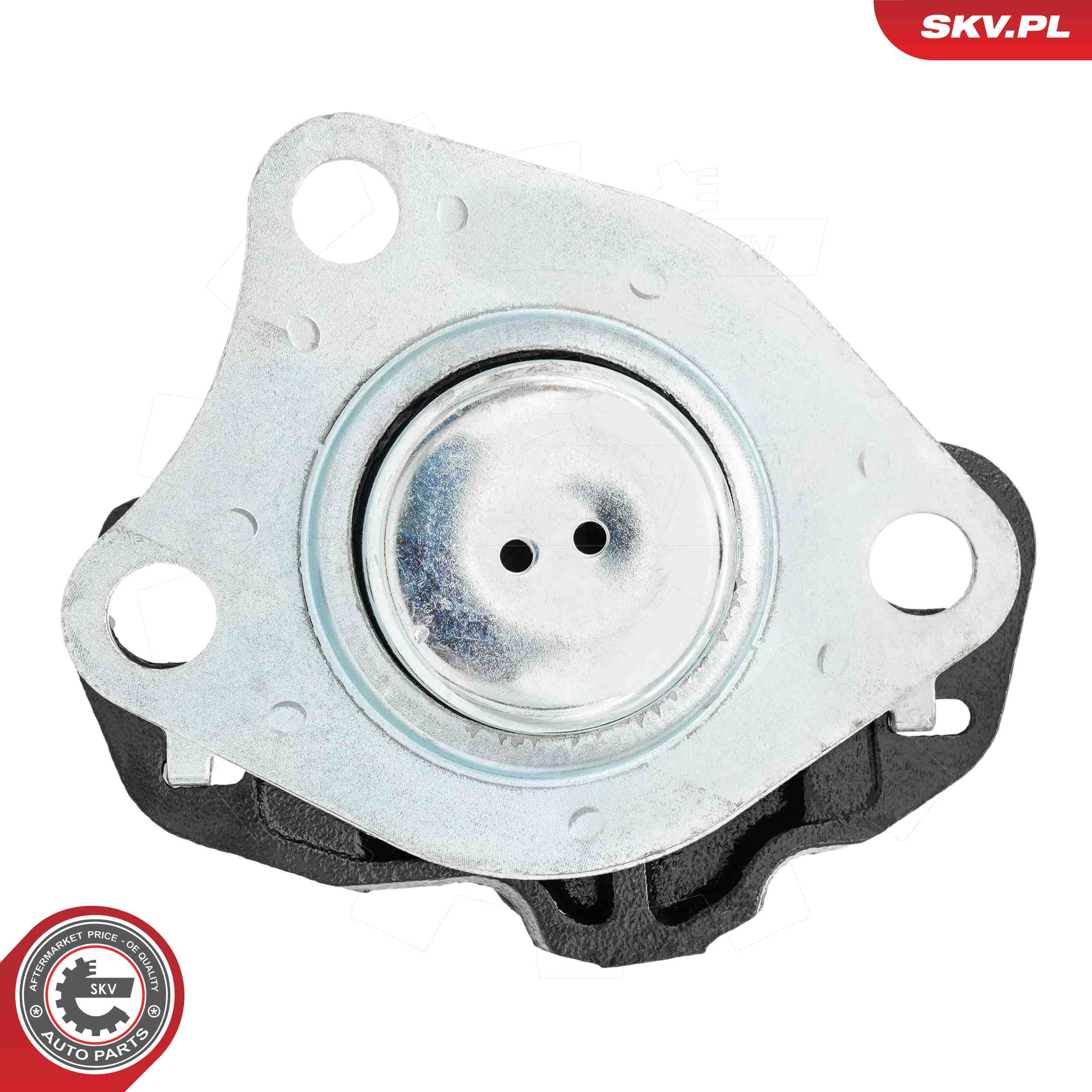 ESEN SKV 75SKV019 Mounting, engine