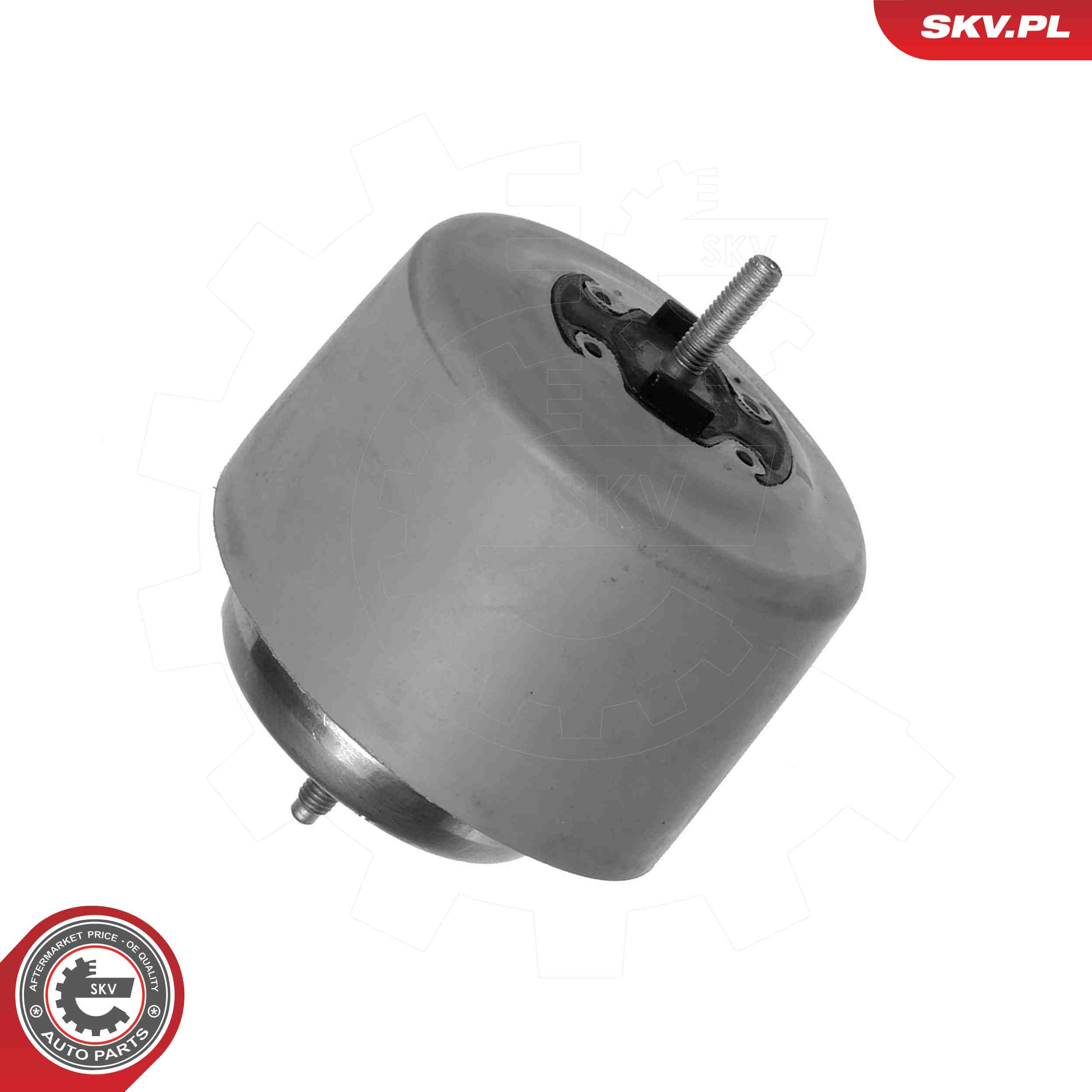 ESEN SKV 75SKV044 Mounting, engine