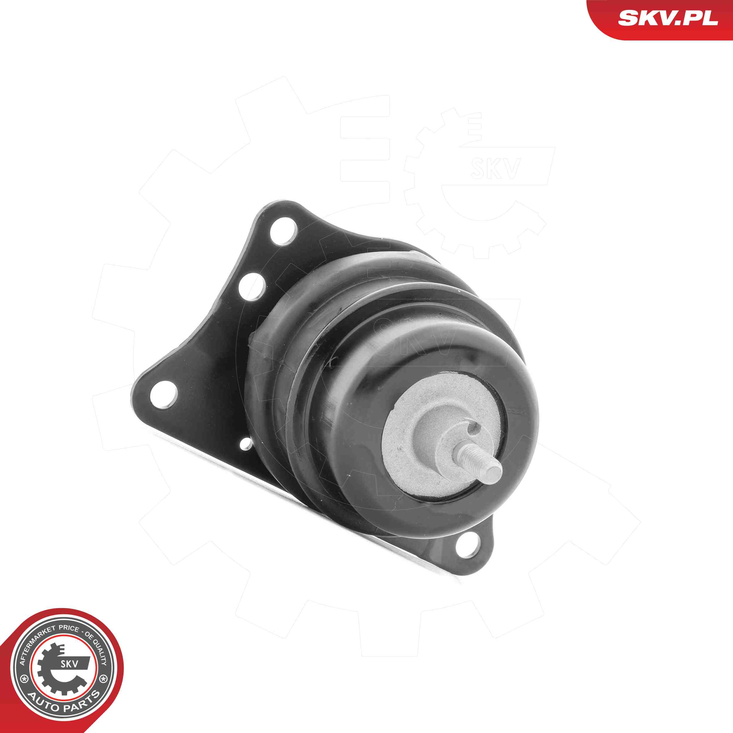 ESEN SKV 75SKV046 Mounting, engine