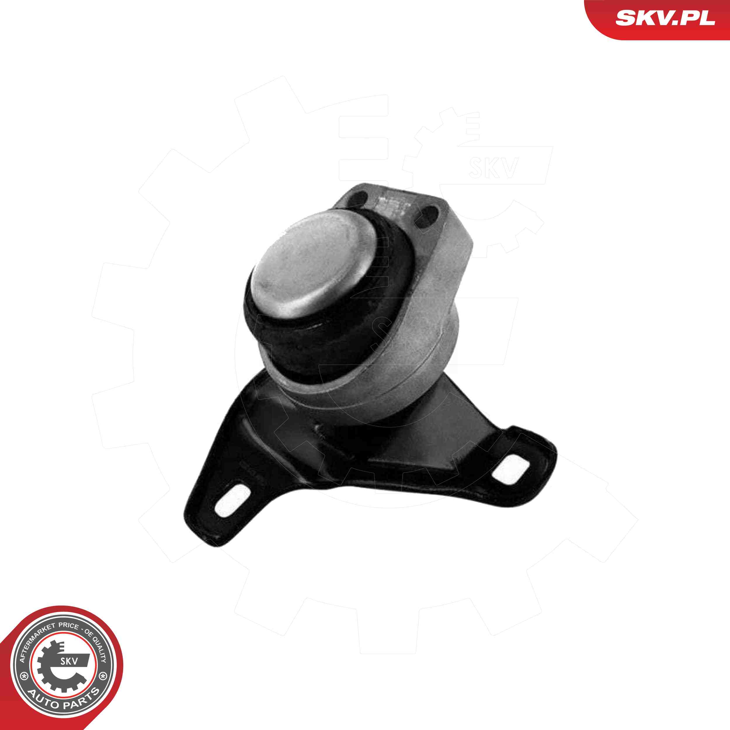 ESEN SKV 75SKV063 Mounting, engine