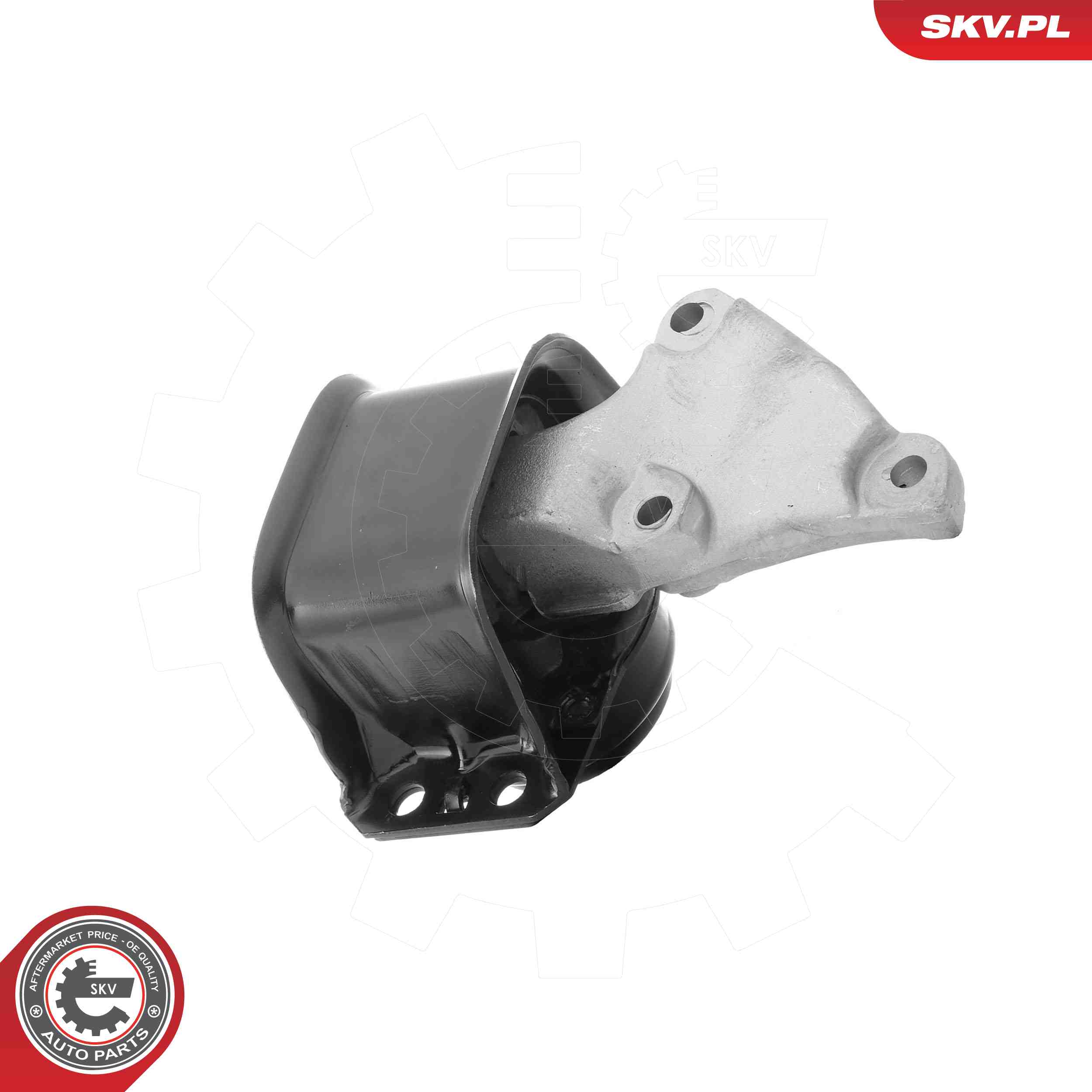 ESEN SKV 75SKV070 Mounting, engine