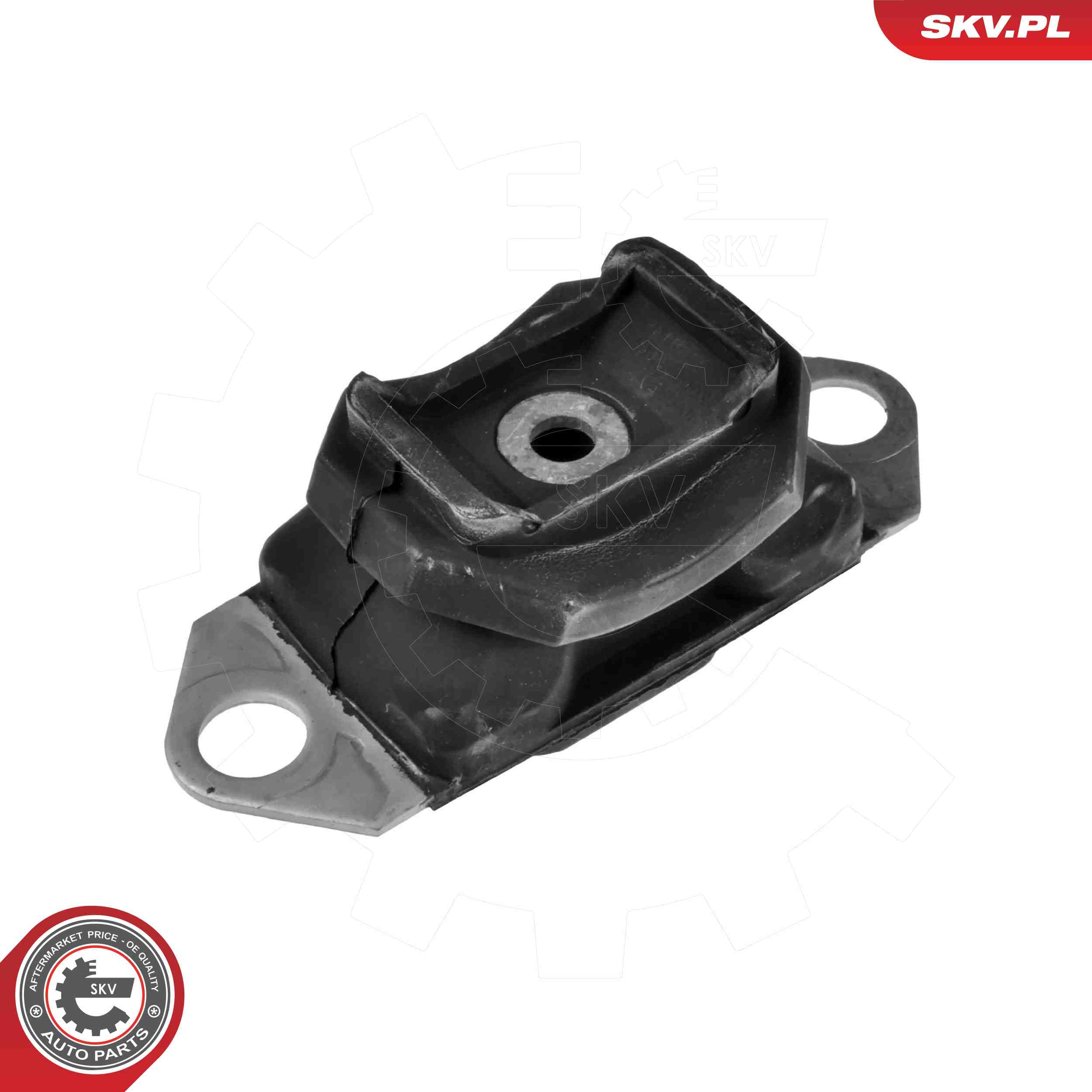 ESEN SKV 75SKV080 Mounting, engine