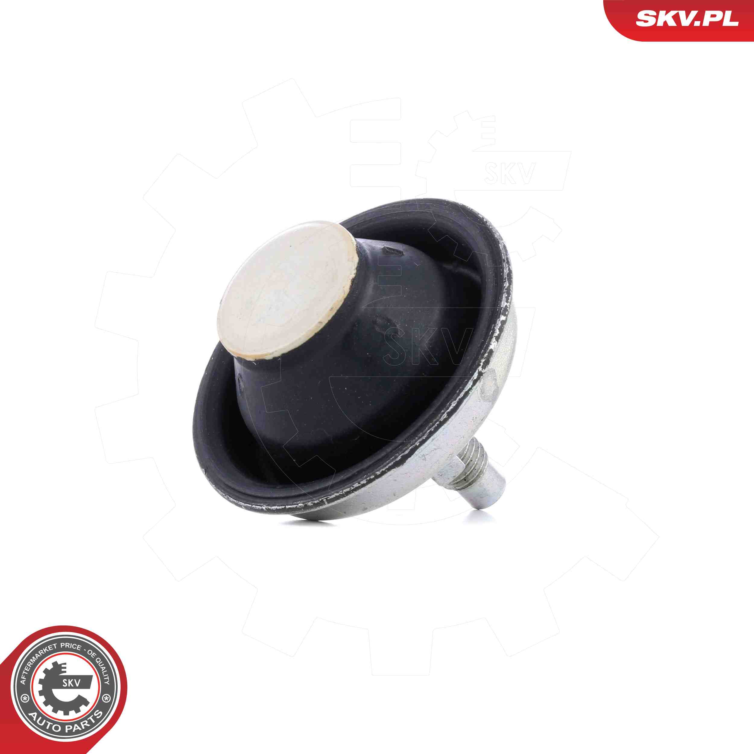 ESEN SKV 75SKV101 Mounting, engine