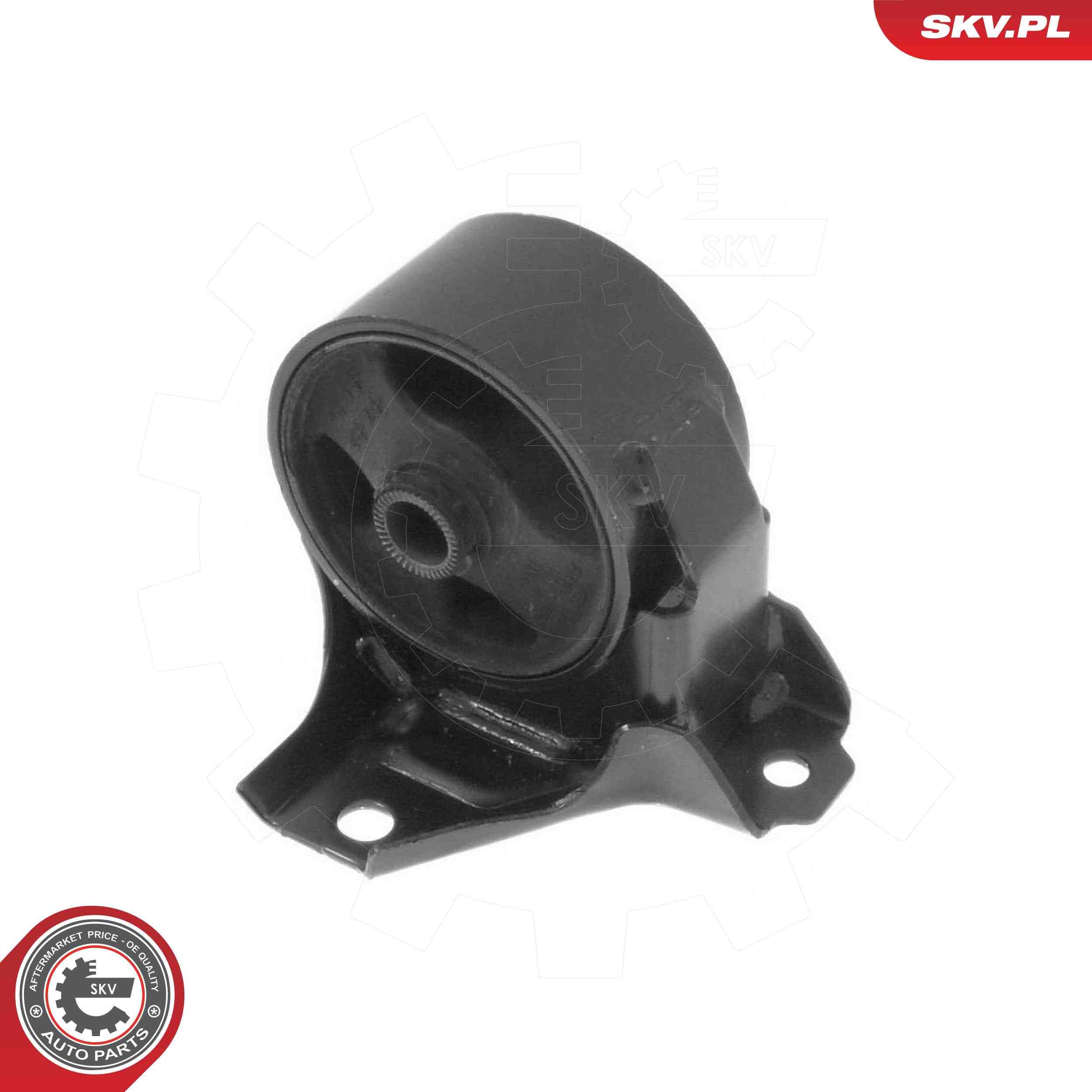 ESEN SKV 75SKV106 Mounting, engine