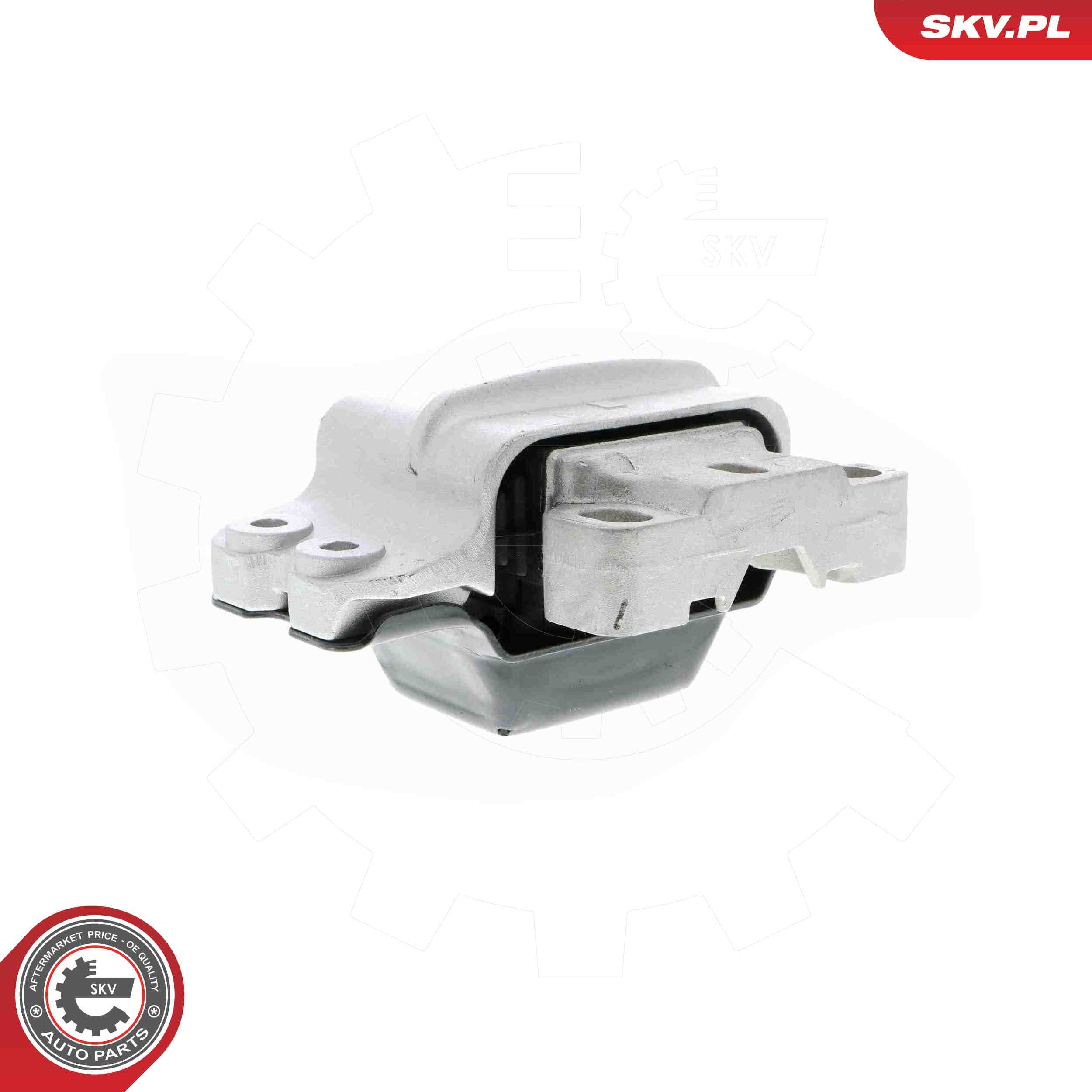 ESEN SKV 75SKV110 Mounting, engine