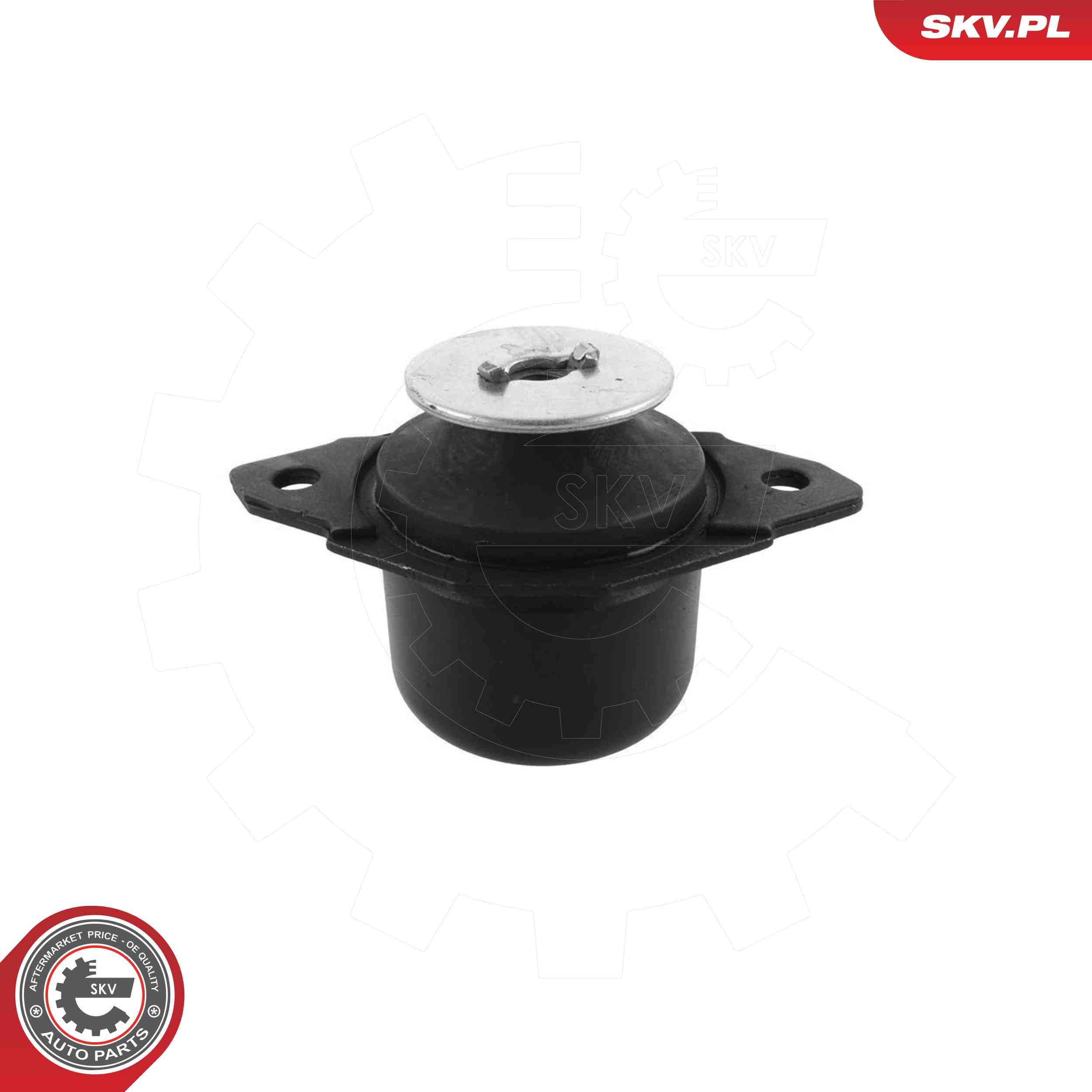 ESEN SKV 75SKV115 Mounting, engine