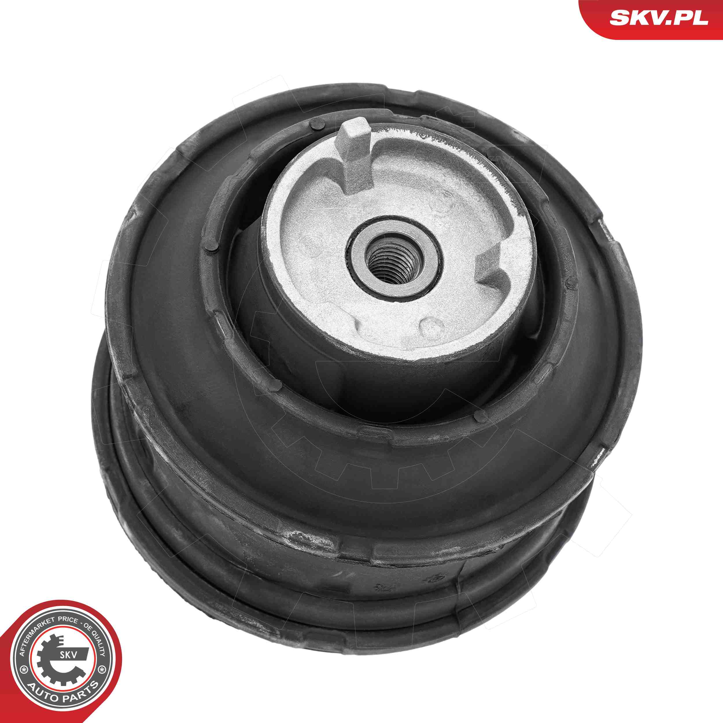 ESEN SKV 75SKV132 Mounting, engine