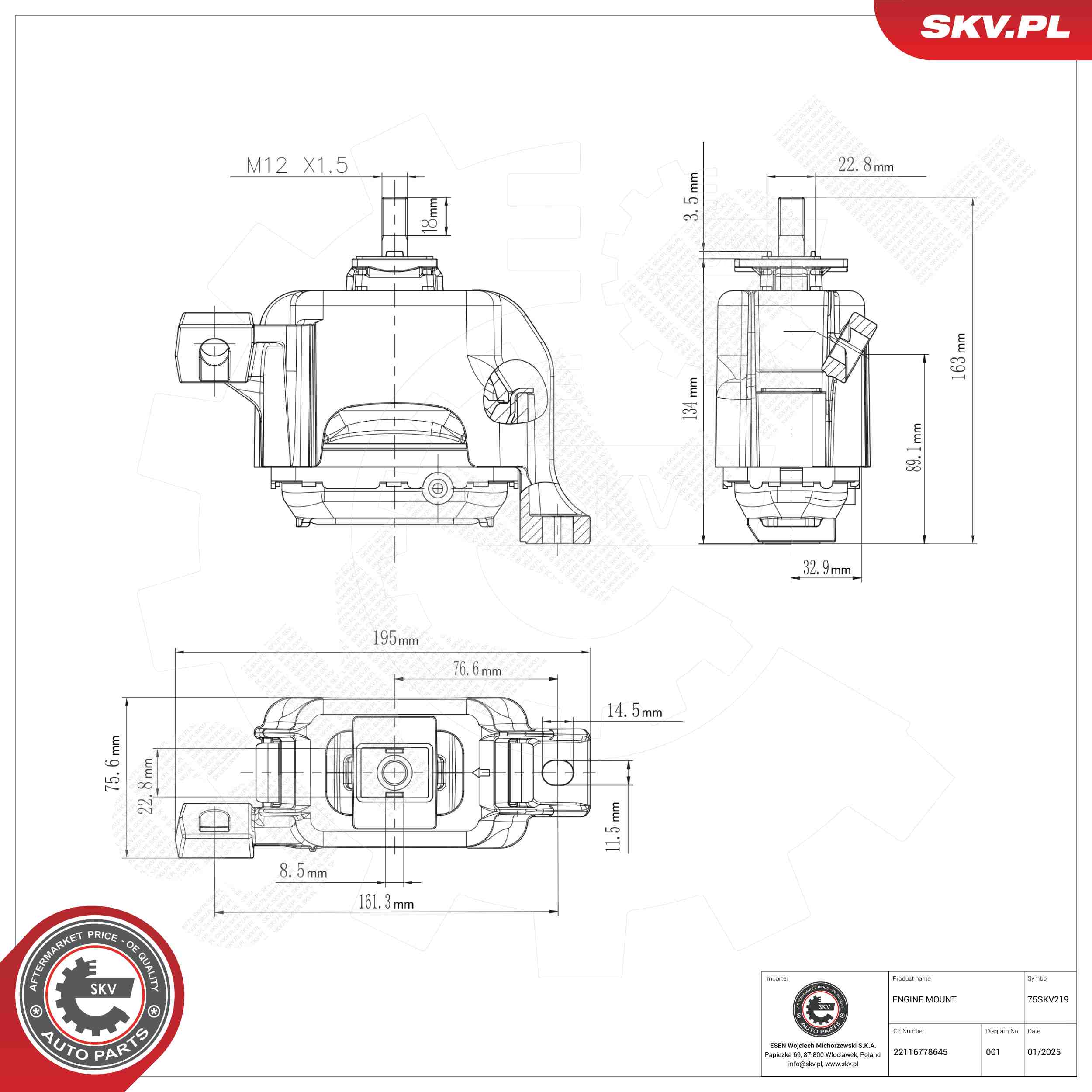 ESEN SKV 75SKV219 Mounting, engine