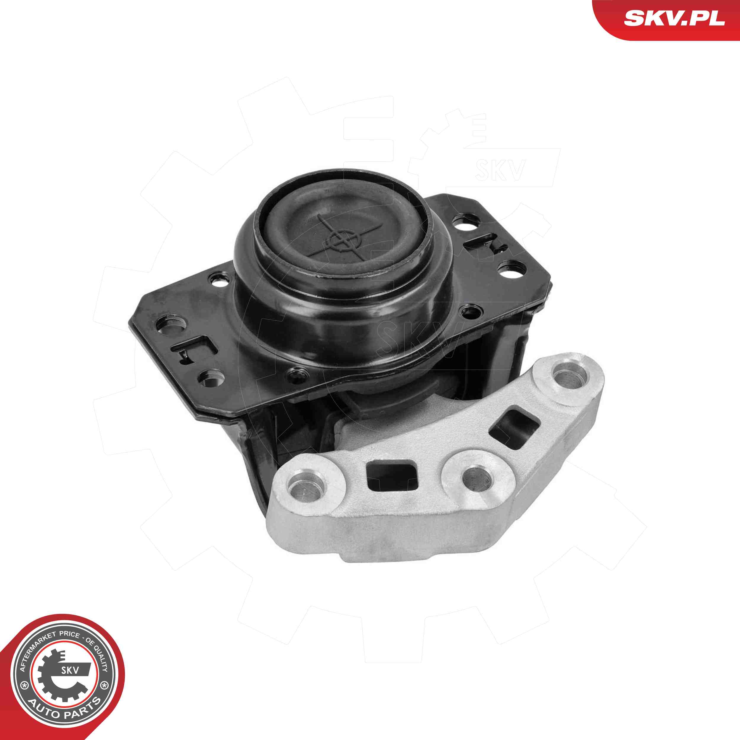 ESEN SKV 75SKV248 Mounting, engine
