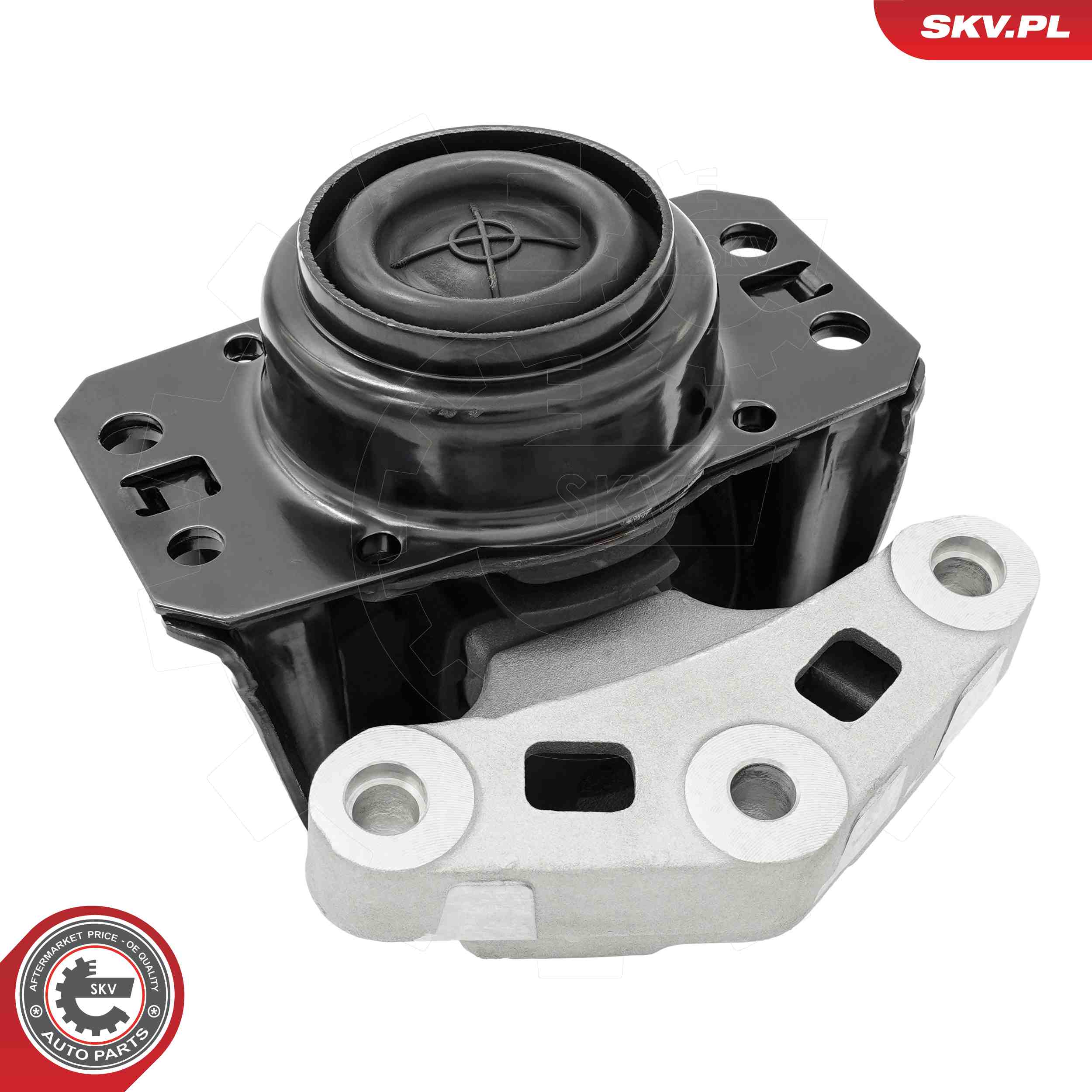 ESEN SKV 75SKV248 Mounting, engine