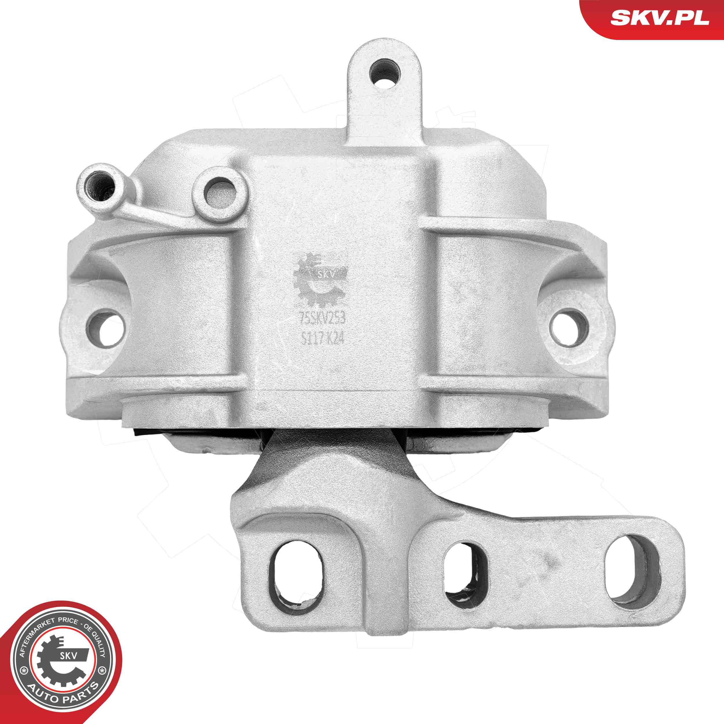 ESEN SKV 75SKV253 Mounting, engine