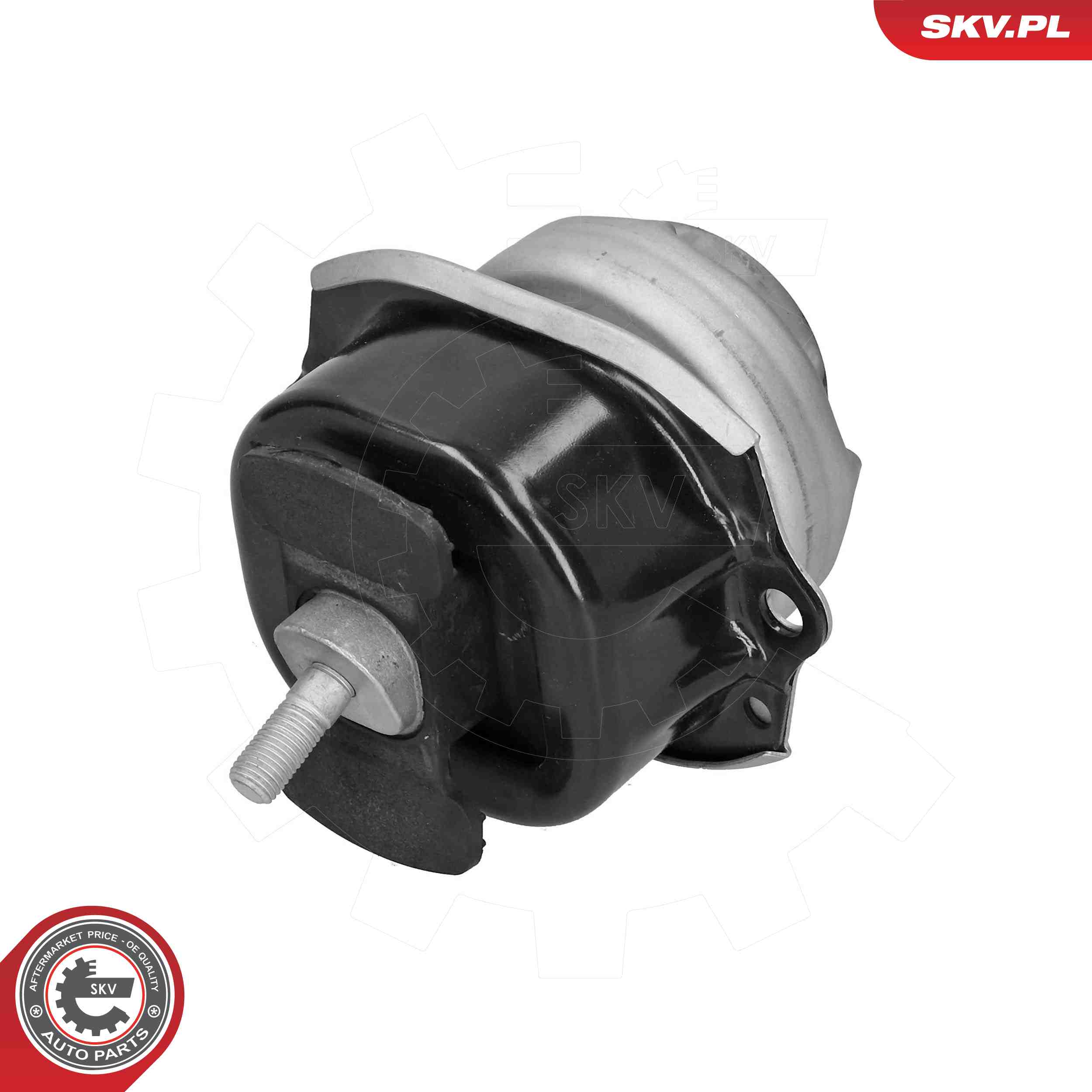 ESEN SKV 75SKV254 Mounting, engine