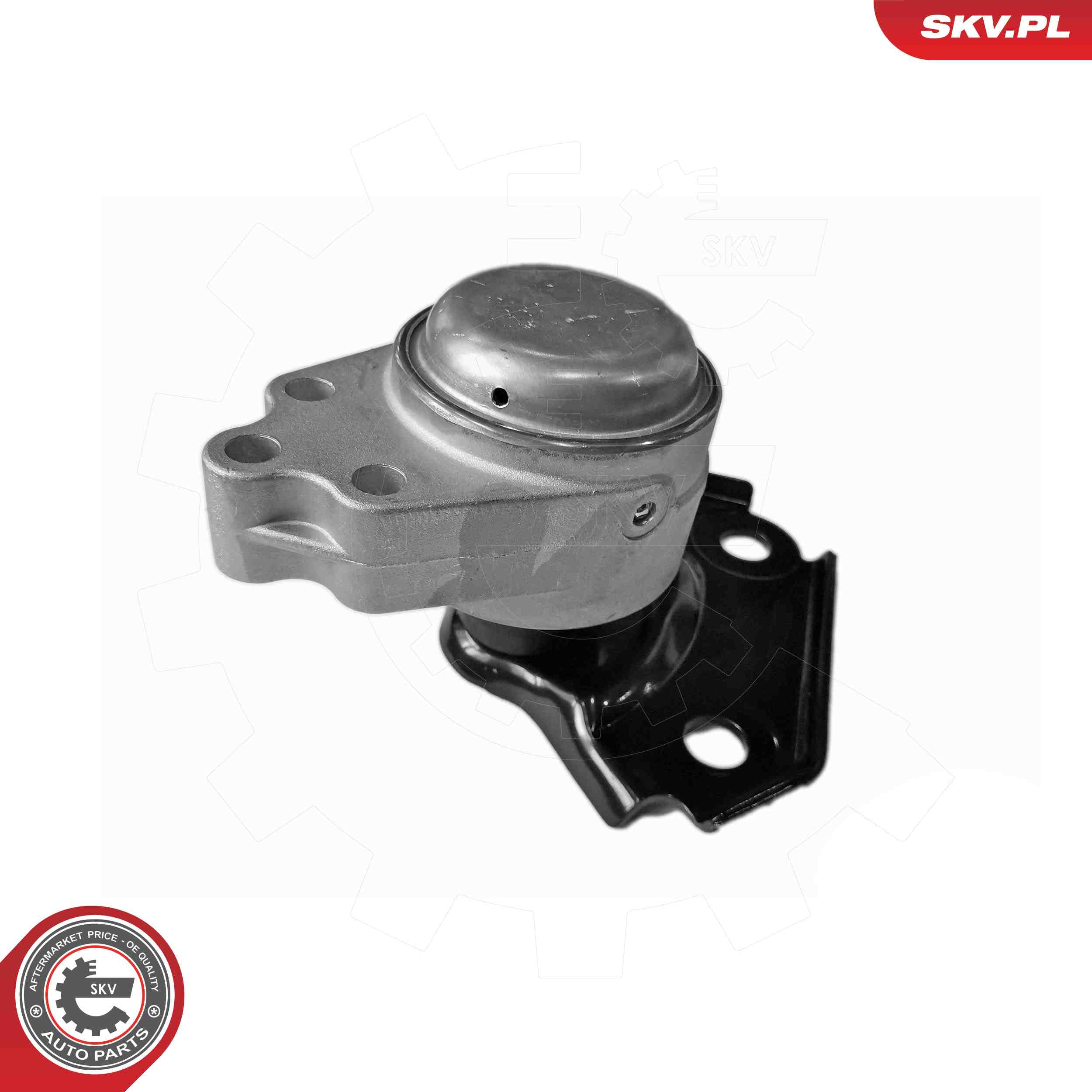 ESEN SKV 75SKV256 Mounting, engine